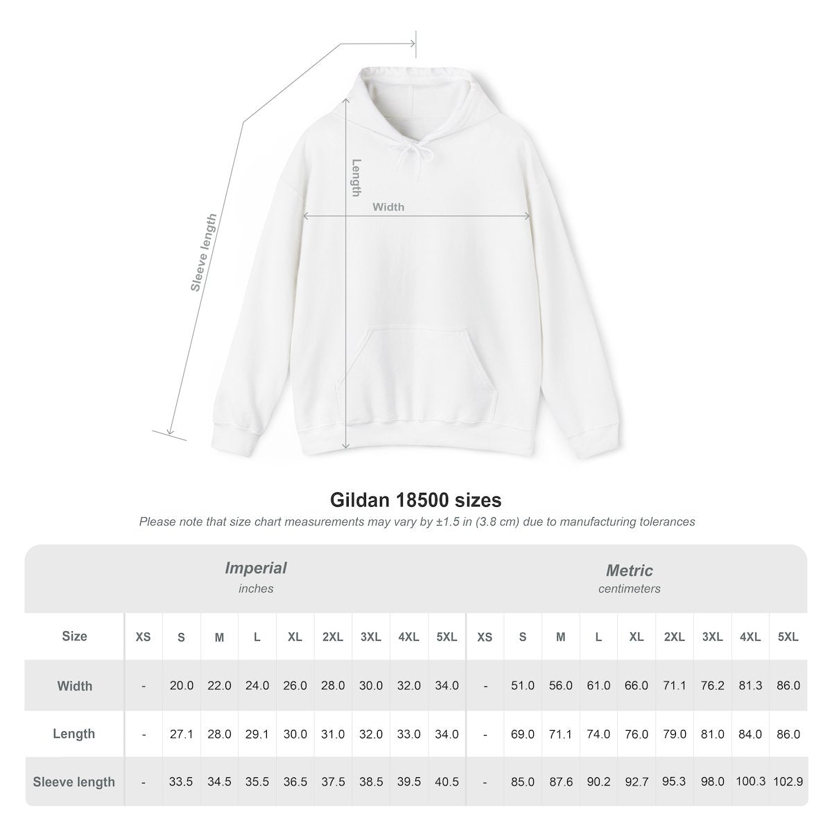 PRE-ORDER: New York Pigeon Hoodie