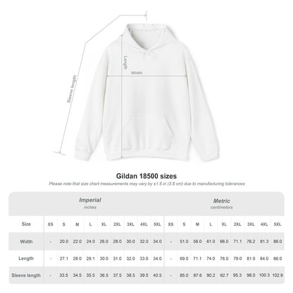 PRE-ORDER: New York Pigeon Hoodie