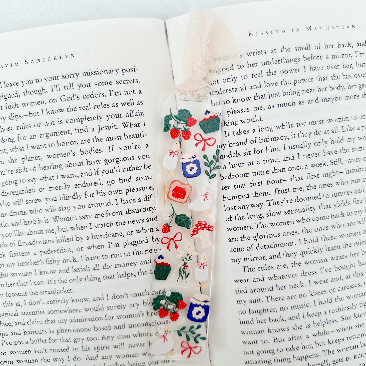 Cottage Goose Acrylic Bookmark