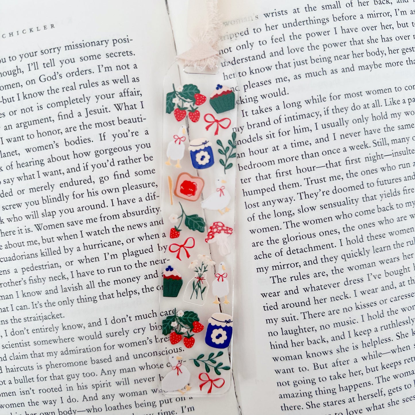 Cottage Goose Acrylic Bookmark